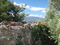 gale-20120725 136
